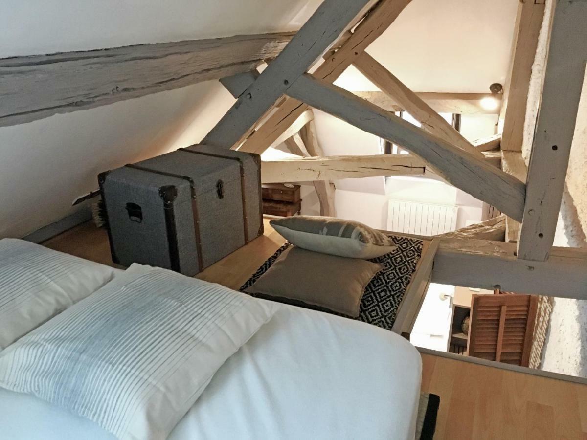 Le Relais Des Ducs : Centre Historique Dijon Apartman Kültér fotó